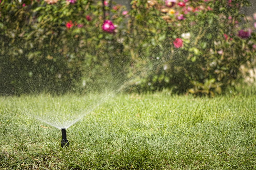 arrosage automatique jardin