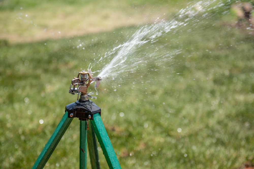 arrosage micro-aspersion jardin