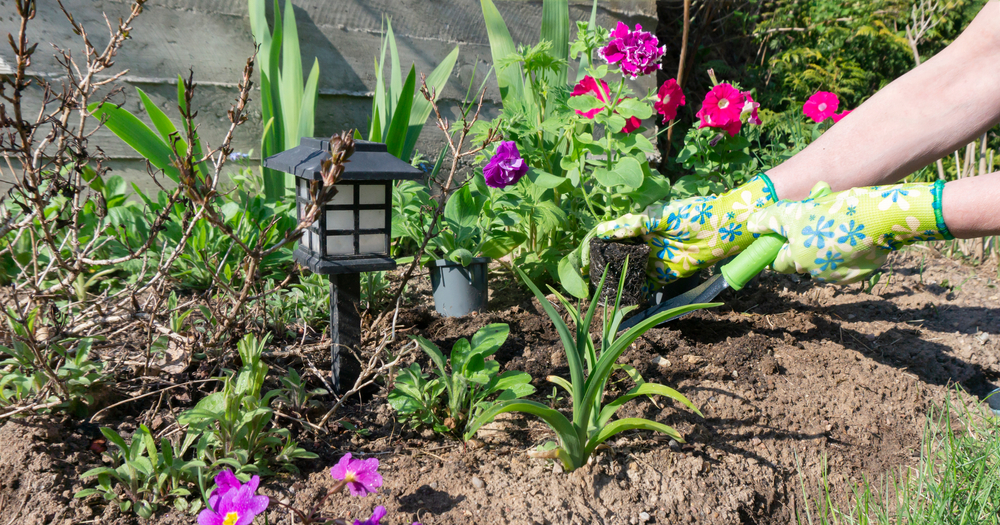 Caractéristiques de la lampe horticole pour son potager