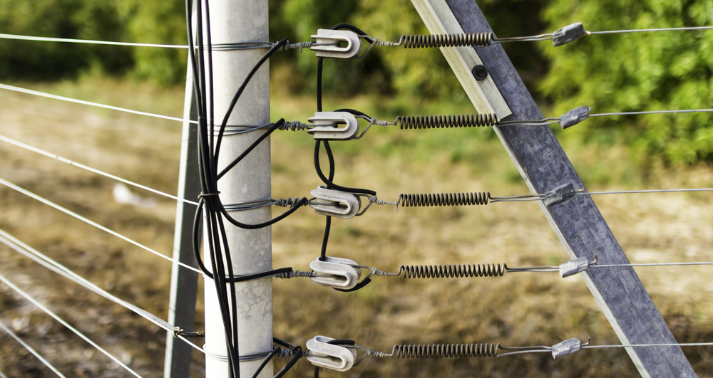 Quoi faire et ne pas faire pour avoir des clôtures électriques efficaces? -  Le Bulletin des agriculteurs